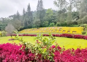 Gundaling Farm Stead Brastagi