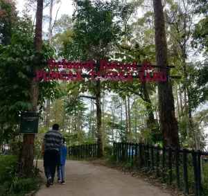 Puncak Tangke Tabu viral Brastagi