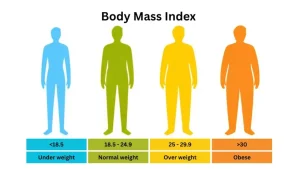 Hasil BMI Kalkulator 