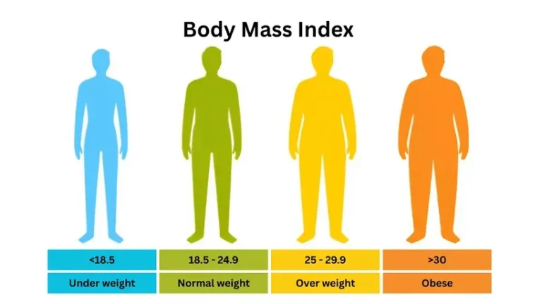 Hasil BMI Kalkulator