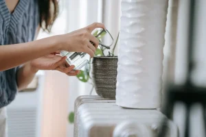 Membersihkan pot tanaman agar nyamuk tidak bersarang